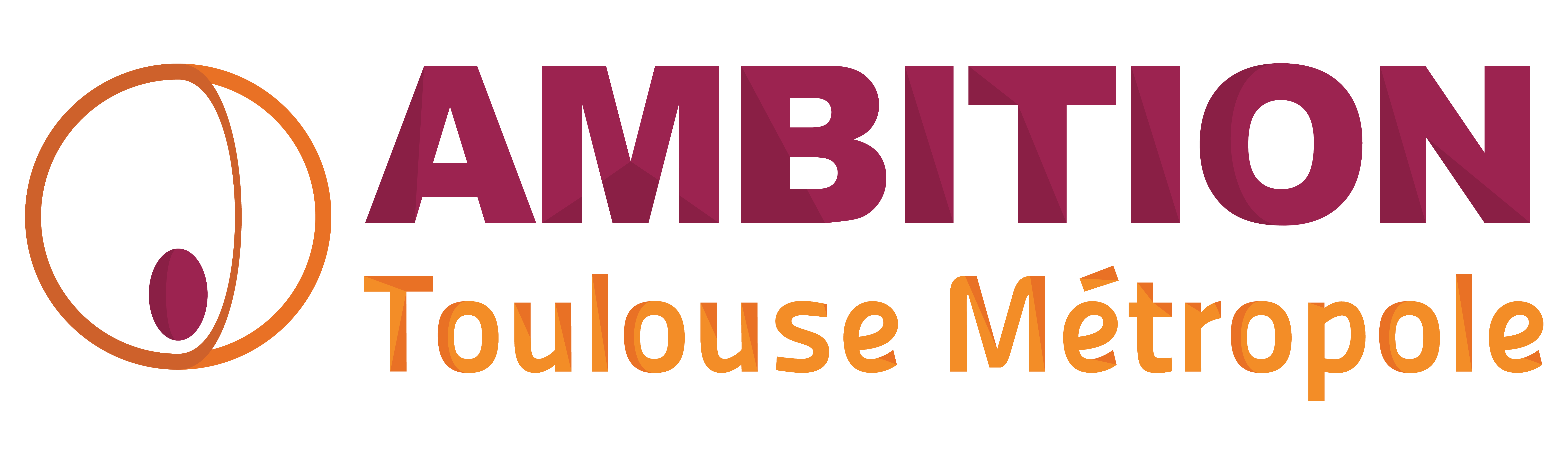 Ambition Toulouse Métropole